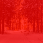 Code rood KNMI: weeralarm voor verkeersontwrichtende sneeuw
