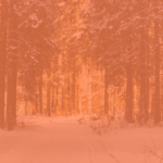 Code oranje KNMI: morgen flinke sneeuwval