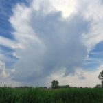 Het weekend afsluiten met een rustige chase
