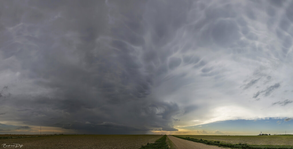 LP supercell met mammatus