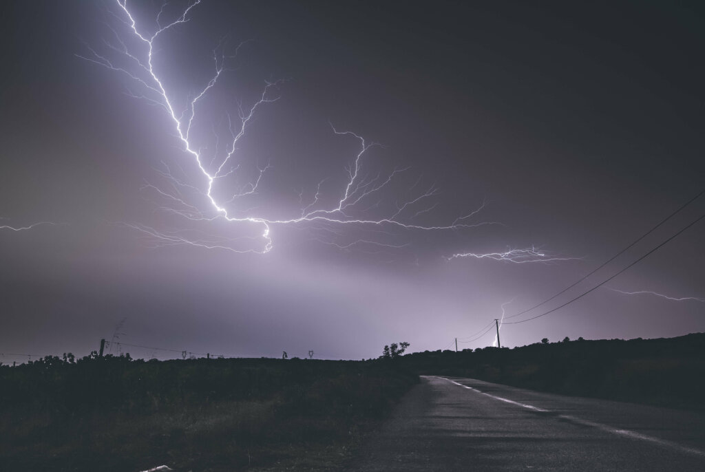 Chaser Rein in Frankrijk