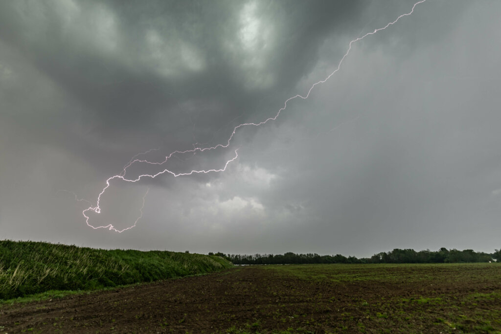 Mooie onweer crawler in Düsseldorf