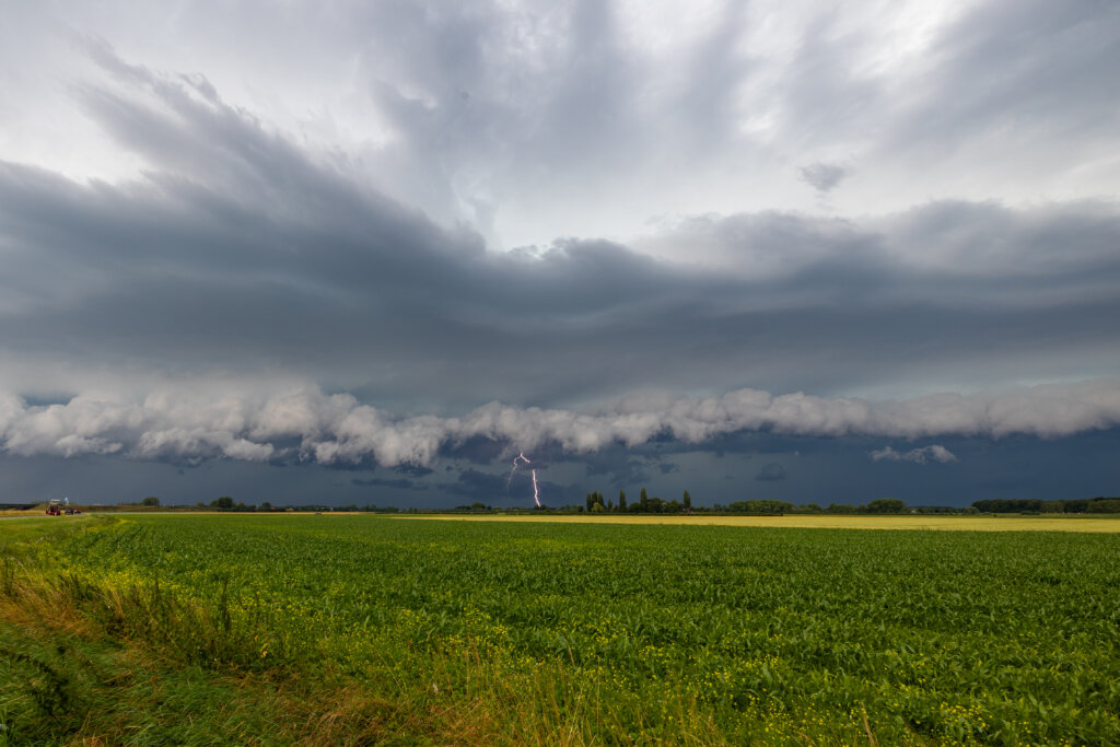 Arcus kraag met bliksem
