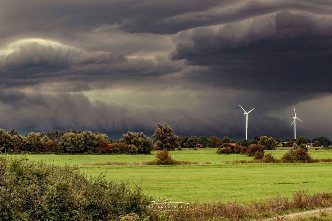 Arcus in Velperwaarde bij Arnhem door Lisa Antoinette Photography