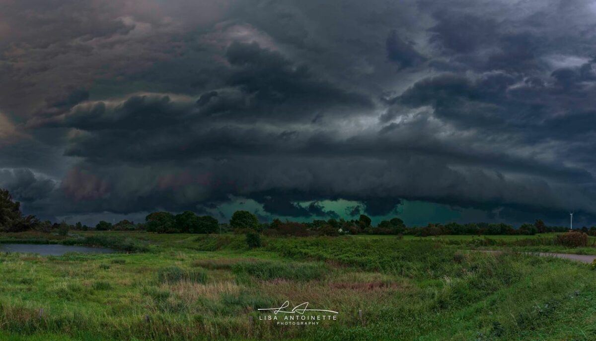 Arcus in Velperwaarde bij Arnhem door Lisa Antoinette Photography