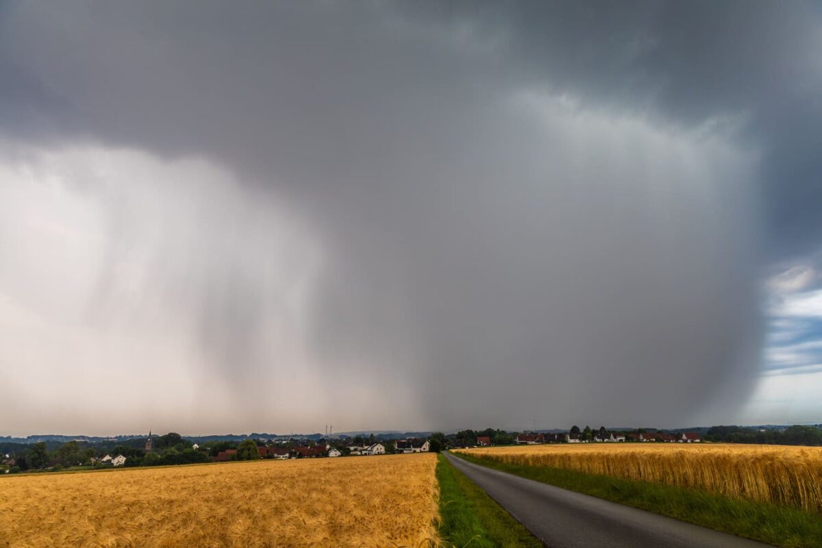 downburst regen onweersbui