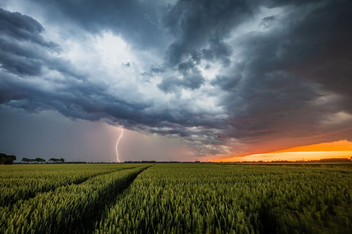 Twee dagen chasen in België en Frankrijk
